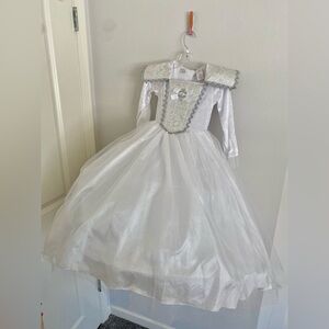 Fairy Princess Costume